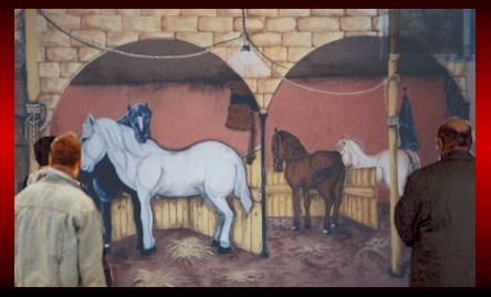 Horses in the stable